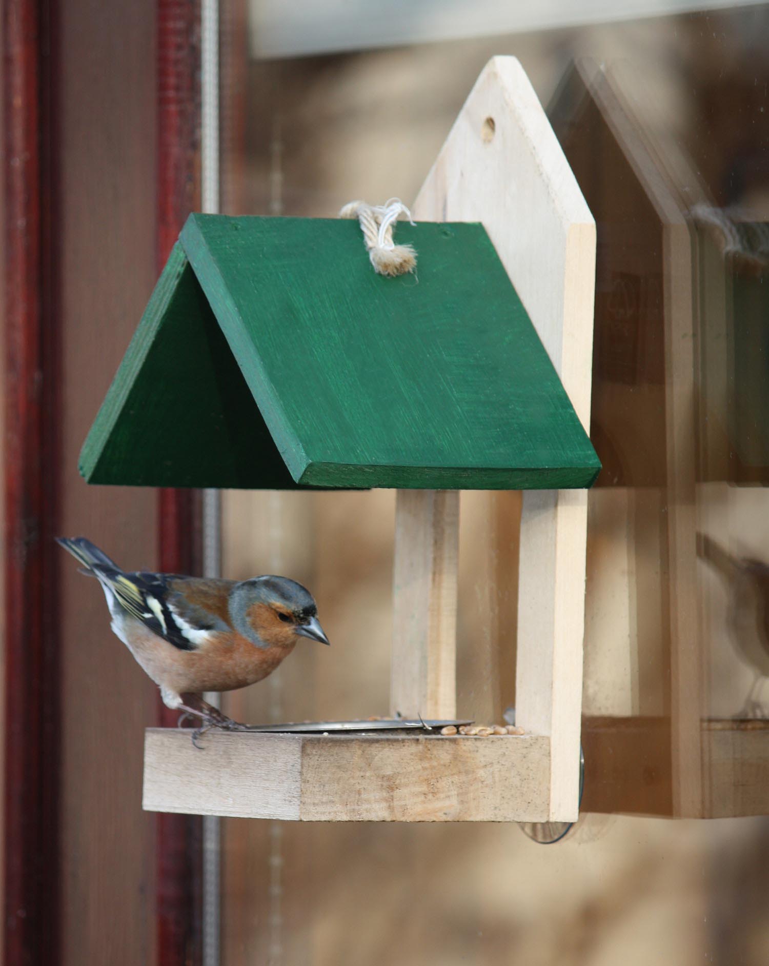 Cool Bird Feeder Ideas