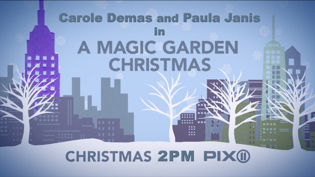 Magic Garden X-mas 2016