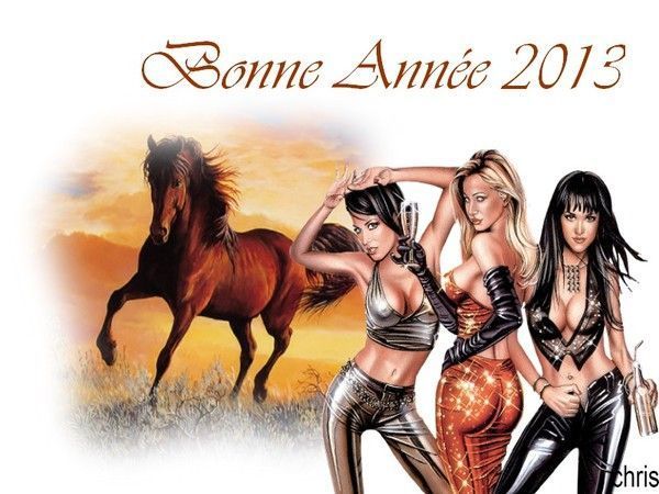 bonne année 2013