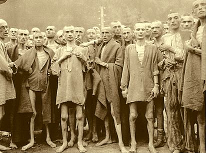 Auschwitz survivors