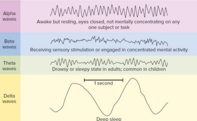 Brain waves