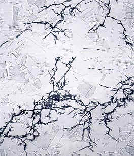 Transgranular cracking of 316 stainless steel