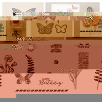 Butterfly Basics Wood Bundle