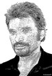 Johnny Hallyday : Ballades, Country et Rock and Roll