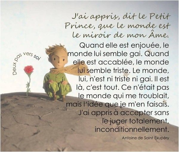    17 704 Novembre 2019 adorable ,Saint Exupery