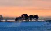 Snow scenery in Huma County, NE China 