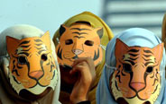 Global Tiger Day marked in Jakarta