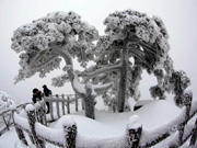 Rime scenery in Mount Huangshan
