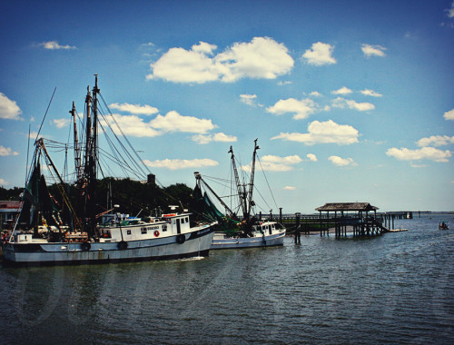 Shrimp Boats on Shem Creek