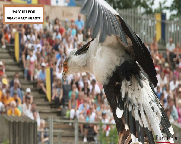 TOUS PAY DU FOU FRANCE