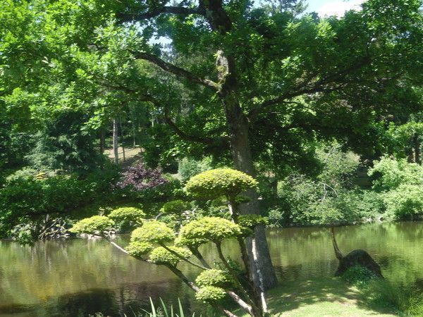 Parc Oriental de Maulévrier dans le Maine et Loire