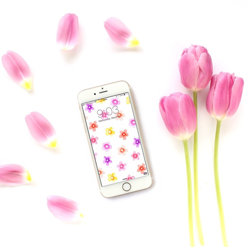 24 Free Spring Wallpapers & Backgrounds