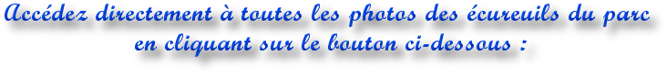 texte-bouton-ecureuils_1.png