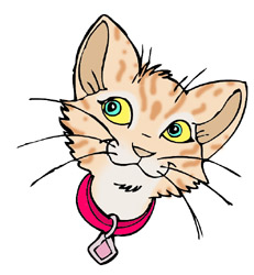 cat%20face%20clipart