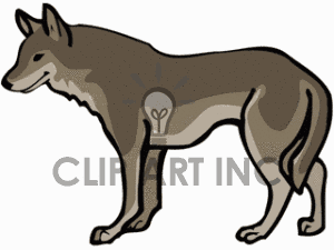 Coyote Clip Art