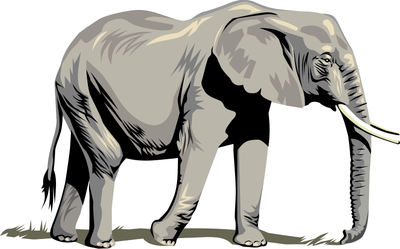 Elephant Clip Art