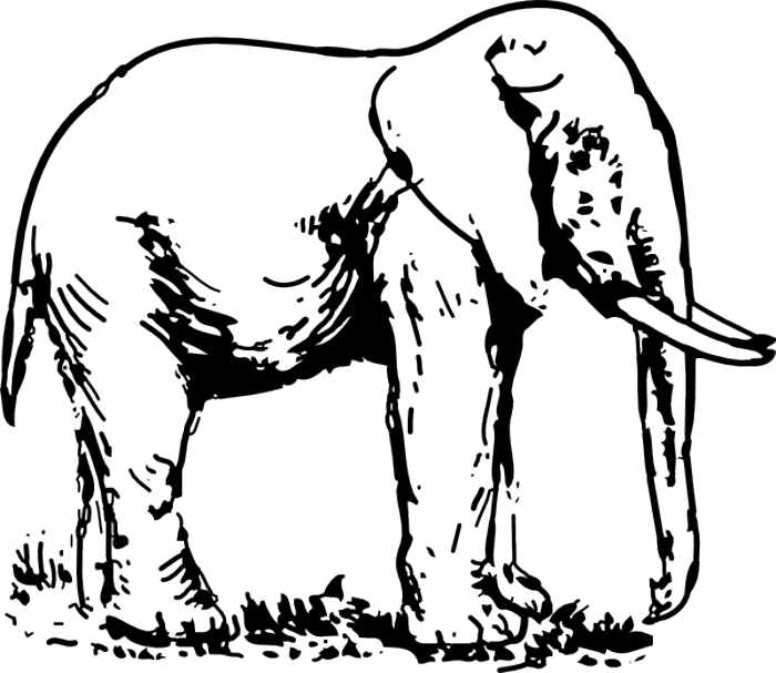 Elephant Clip Art