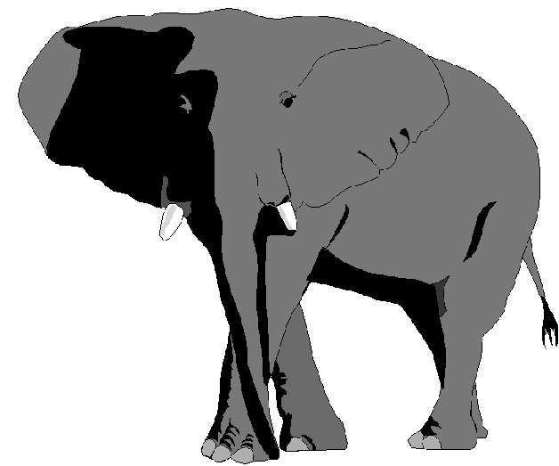 Elephant Clipart