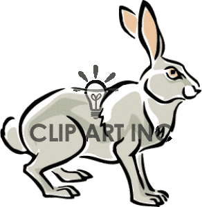 Hare Clip Art