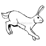 Hare Clip Art