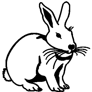 Hare Clip Art