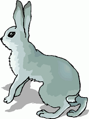 Hare Clip Art