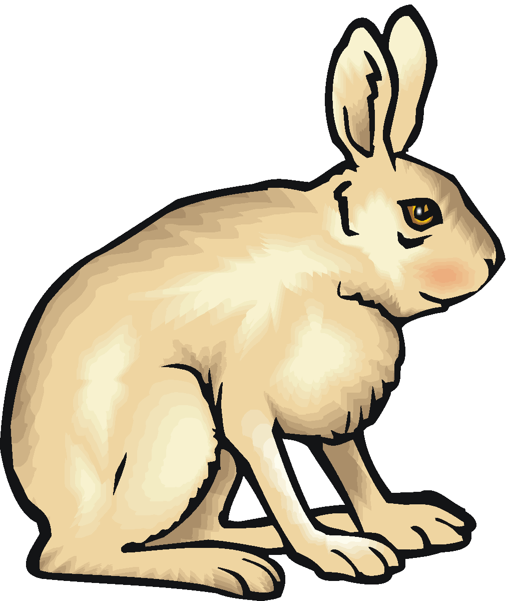 Hare Clip Art