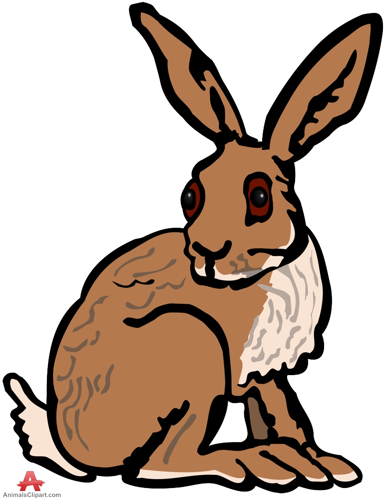 hare%20clipart%20