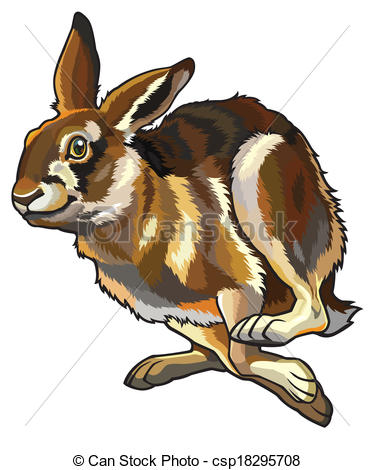 hare%20clipart%20