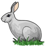 hare%20clipart%20