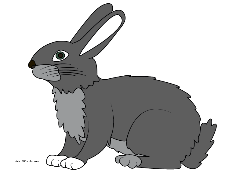 hare%20clipart%20