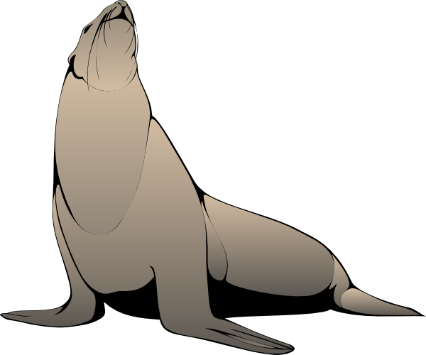 Sea Lion Clip Art