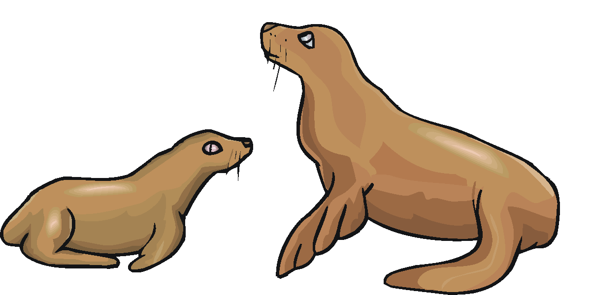 Sea Lion Clip Art