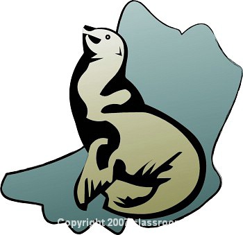 Sea Lion Clip Art