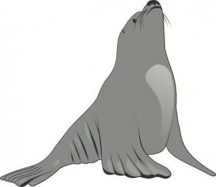 Sea Lion Clipart