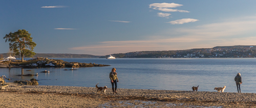 We watched ferries go by, and people with dogs