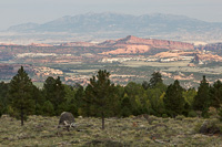 Impressive views from Scenic Byway 12