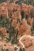 The path winding between the hoodoos