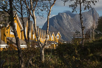 A row of yellow houses