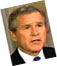 A picture named dubya.jpg