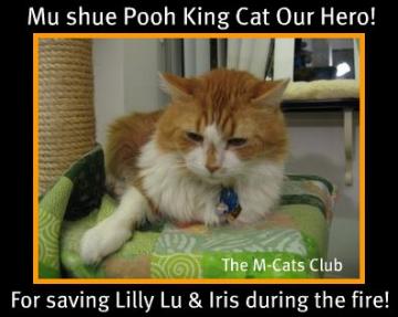 Mu Shue Poo King Cat Hero