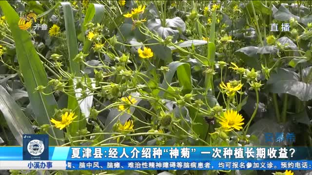 å¾·å·žï¼šæŠ•èµ„åŽå¤ç¥žèŠ å…¬å¸ä¸å›žæ”¶