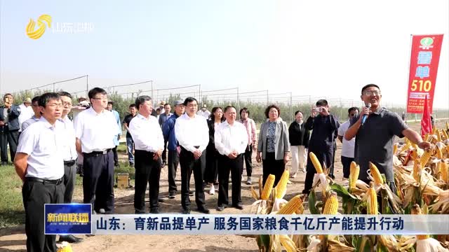 å±±ä¸œï¼šè‚²æ–°å“æå•äº§ æœåŠ¡å›½å®¶ç²®é£Ÿåƒäº¿æ–¤äº§èƒ½æå‡è¡ŒåŠ¨