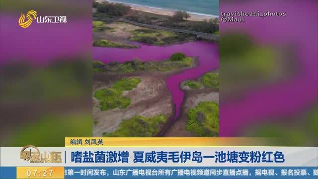 å—œç›èŒæ¿€å¢ž å¤å¨å¤·æ¯›ä¼Šå²›ä¸€æ± å¡˜å˜ç²‰çº¢è‰²