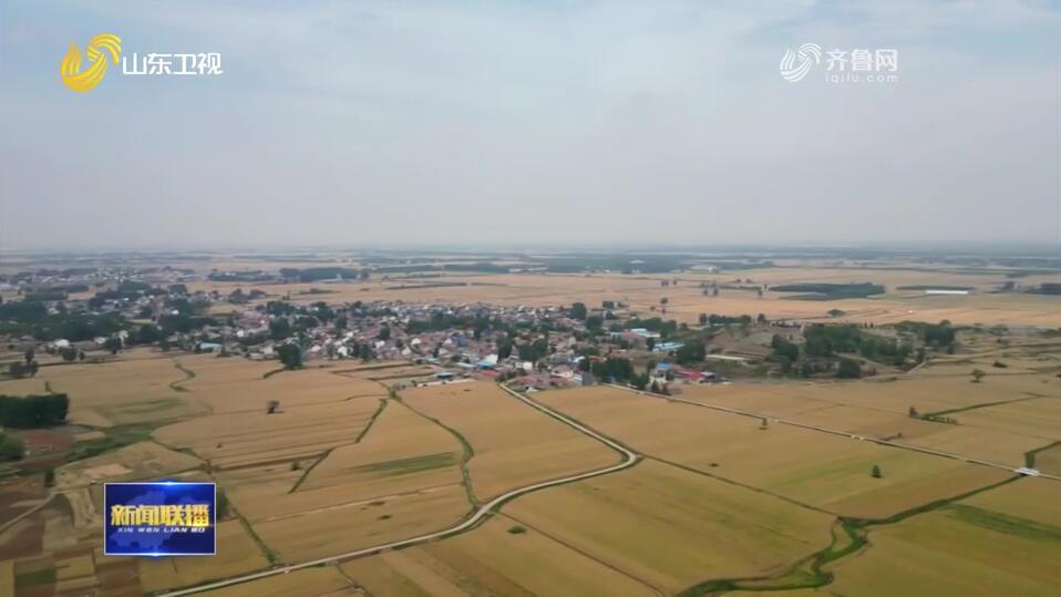 æ‰›ç‰¢ç²®é£Ÿå¤§çœè´£ä»» å»ºè®¾æ›´é«˜æ°´å¹³çš„â€œé½é²ç²®ä»“â€ã€ç‰¢è®°å˜±æ‰˜ èµ°åœ¨å‰ æŒ‘å¤§æ¢ å¥‹åŠ›è°±å†™ä¸­å›½å¼çŽ°ä»£åŒ–å±±ä¸œç¯‡ç« ã€‘