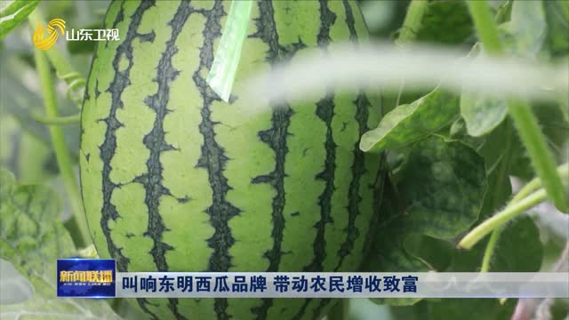 å«å“ä¸œæ˜Žè¥¿ç“œå“ç‰Œ å¸¦åŠ¨å†œæ°‘å¢žæ”¶è‡´å¯Œ