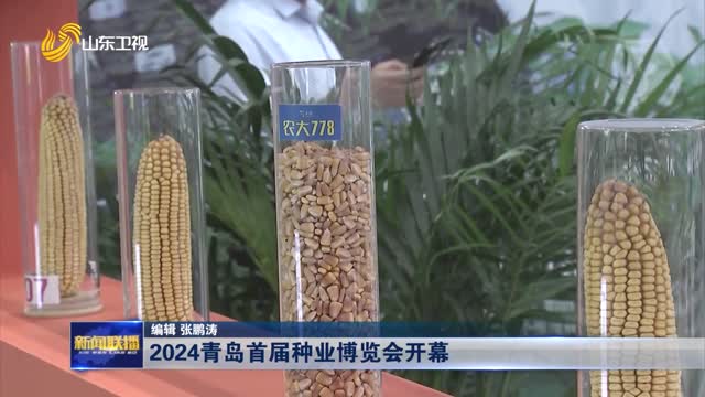 2024é’å²›é¦–å±Šç§ä¸šåšè§ˆä¼šå¼€å¹•