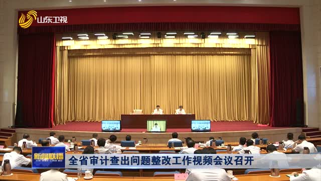 å…¨çœå®¡è®¡æŸ¥å‡ºé—®é¢˜æ•´æ”¹å·¥ä½œè§†é¢‘ä¼šè®®å¬å¼€