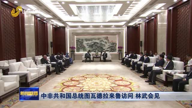 ä¸­éžå…±å’Œå›½æ€»ç»Ÿå›¾ç“¦å¾·æ‹‰æ¥é²è®¿é—® æž—æ­¦ä¼šè§