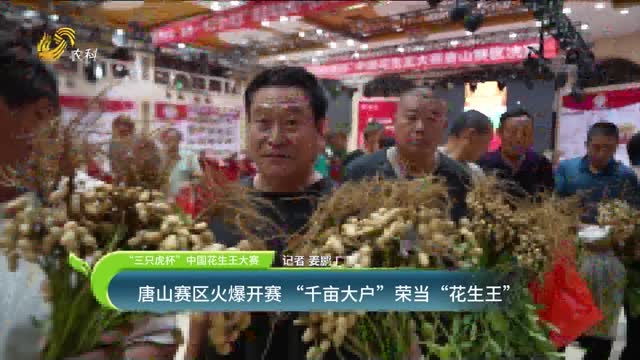 ã€â€œä¸‰åªè™Žæ¯â€ä¸­å›½èŠ±ç”ŸçŽ‹å¤§èµ›ã€‘å”å±±èµ›åŒºç«çˆ†å¼€èµ› â€œåƒäº©å¤§æˆ·â€è£å½“â€œèŠ±ç”ŸçŽ‹â€